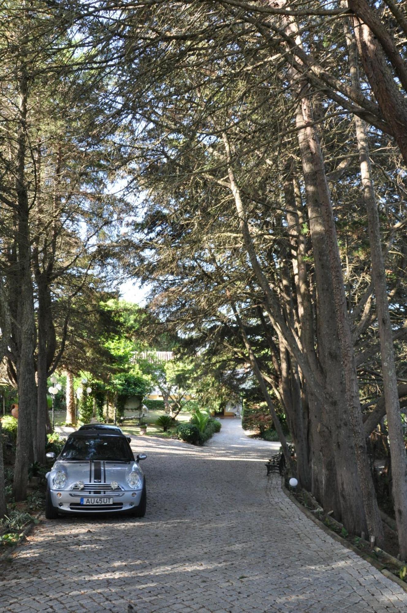 Quinta Do Monte Das Abelhas - La Venus De Lisbonne Calhandriz Bagian luar foto